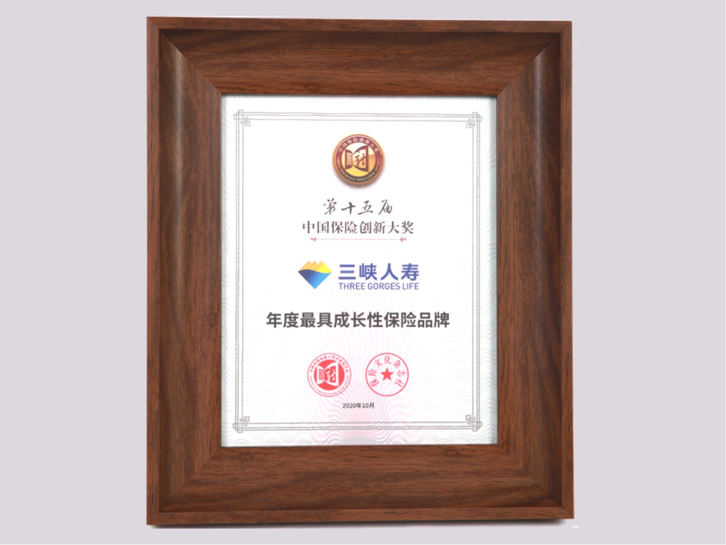 2020.10.23-年度最具成长性保险品牌-第十五届中国保险创新大奖-3.jpg